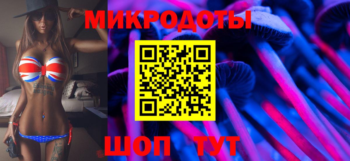 Галлюциногенные грибы прущие грибы Новоалександровск