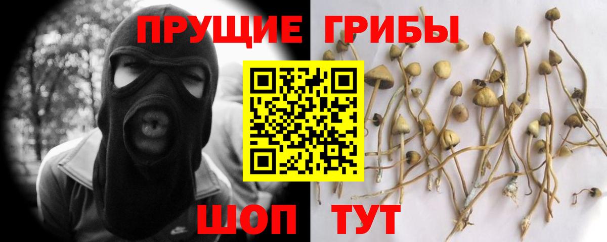 Новоалександровск  Псилоцибиновые грибы Cubensis  Галлюциногенные грибы Psilocybine cubensis  Вход с VPN 